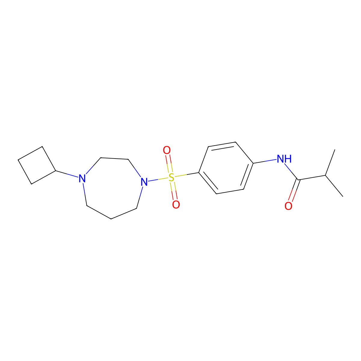 N-{4-[(4-cyclobutyl-1,4-diazepan-1-yl)sulfonyl]phenyl}-2-methylpropanamide molecular structure, CAS 2310097-65-3