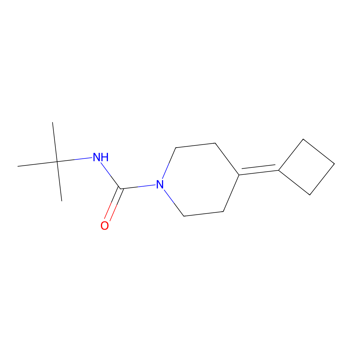 N-Tert-butyl-4-cyclobutylidenepiperidine-1-carboxamide molecular structure, CAS 2310205-54-8