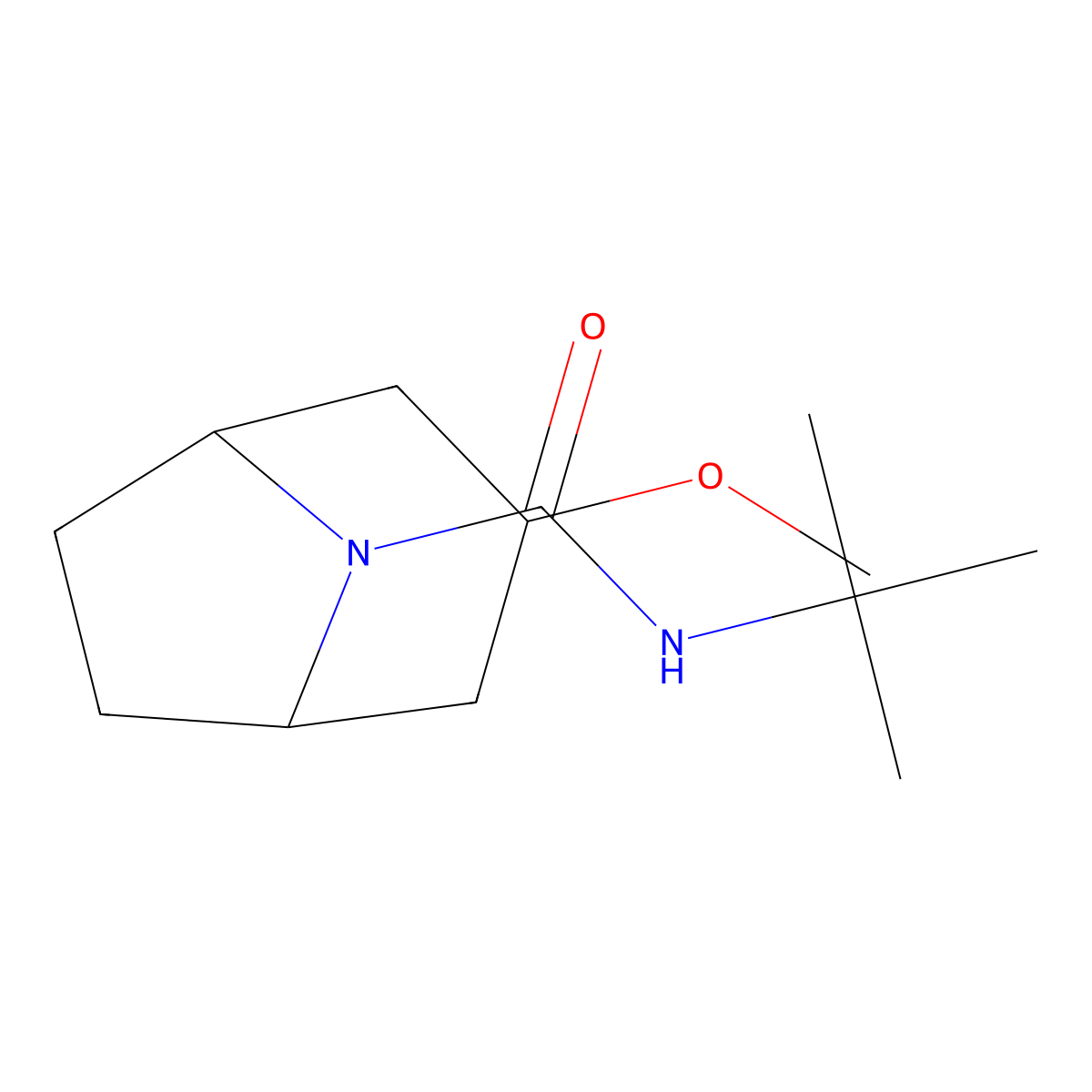 N-tert-butyl-3-methoxy-8-azabicyclo[3.2.1]octane-8-carboxamide molecular structure, CAS 2320146-01-6
