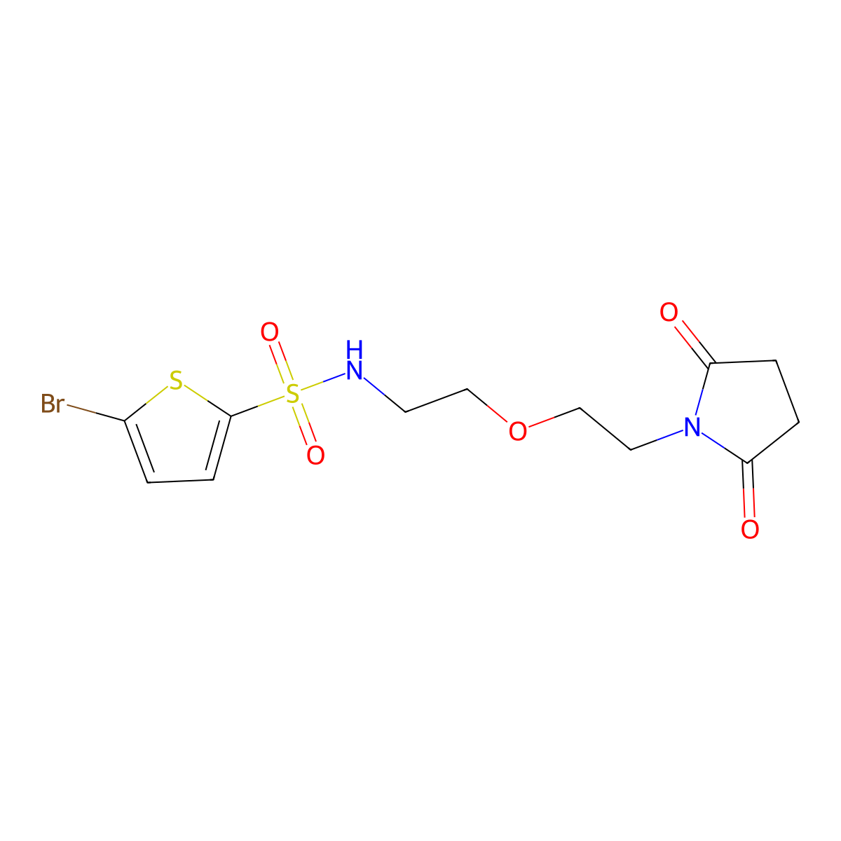 5-bromo-N-{2-[2-(2,5-dioxopyrrolidin-1-yl)ethoxy]ethyl}thiophene-2-sulfonamide molecular structure, CAS 2320209-42-3