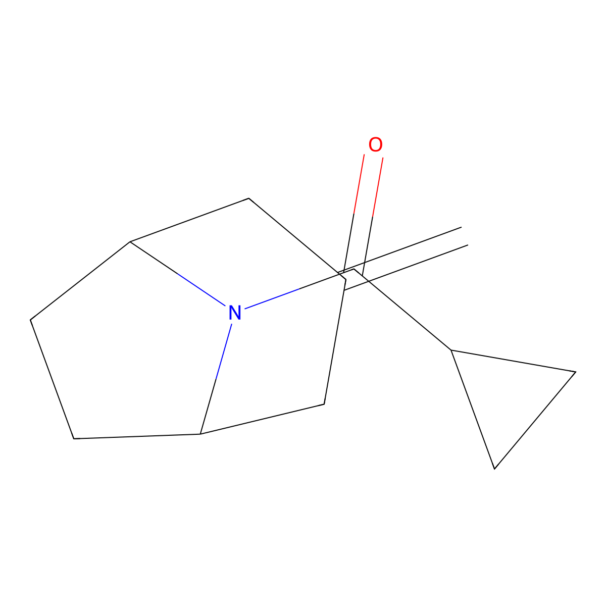 cyclopropyl((1R,5S)-3-methylene-8-azabicyclo[3.2.1]octan-8-yl)methanone molecular structure, CAS 2320574-26-1