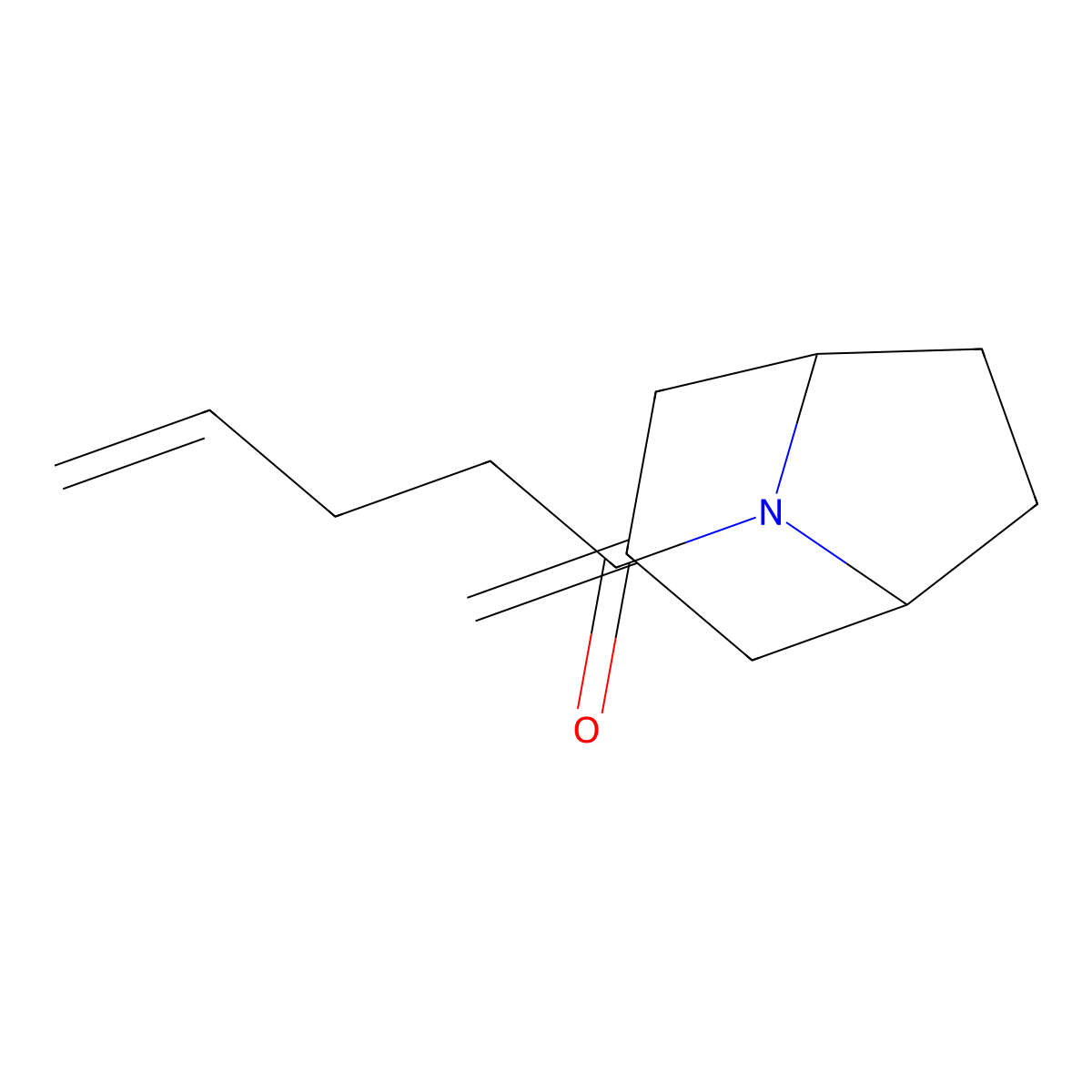 1-{3-Methylidene-8-azabicyclo[3.2.1]octan-8-yl}pent-4-en-1-one molecular structure, CAS 2320574-48-7