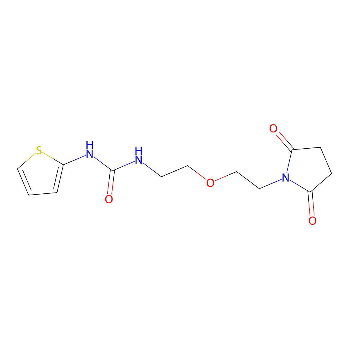 1-(2-(2-(2,5-Dioxopyrrolidin-1-yl)ethoxy)ethyl)-3-(thiophen-2-yl)urea molecular structure, CAS 2320681-96-5