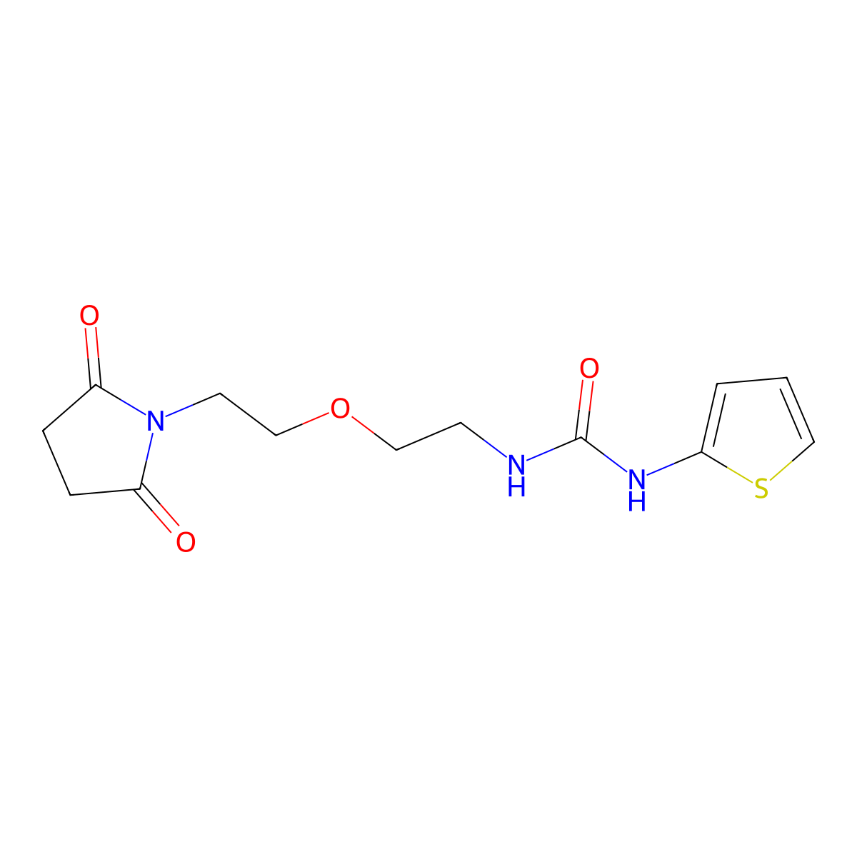 1-(2-(2-(2,5-Dioxopyrrolidin-1-yl)ethoxy)ethyl)-3-(thiophen-2-yl)urea molecular structure, CAS 2320681-96-5