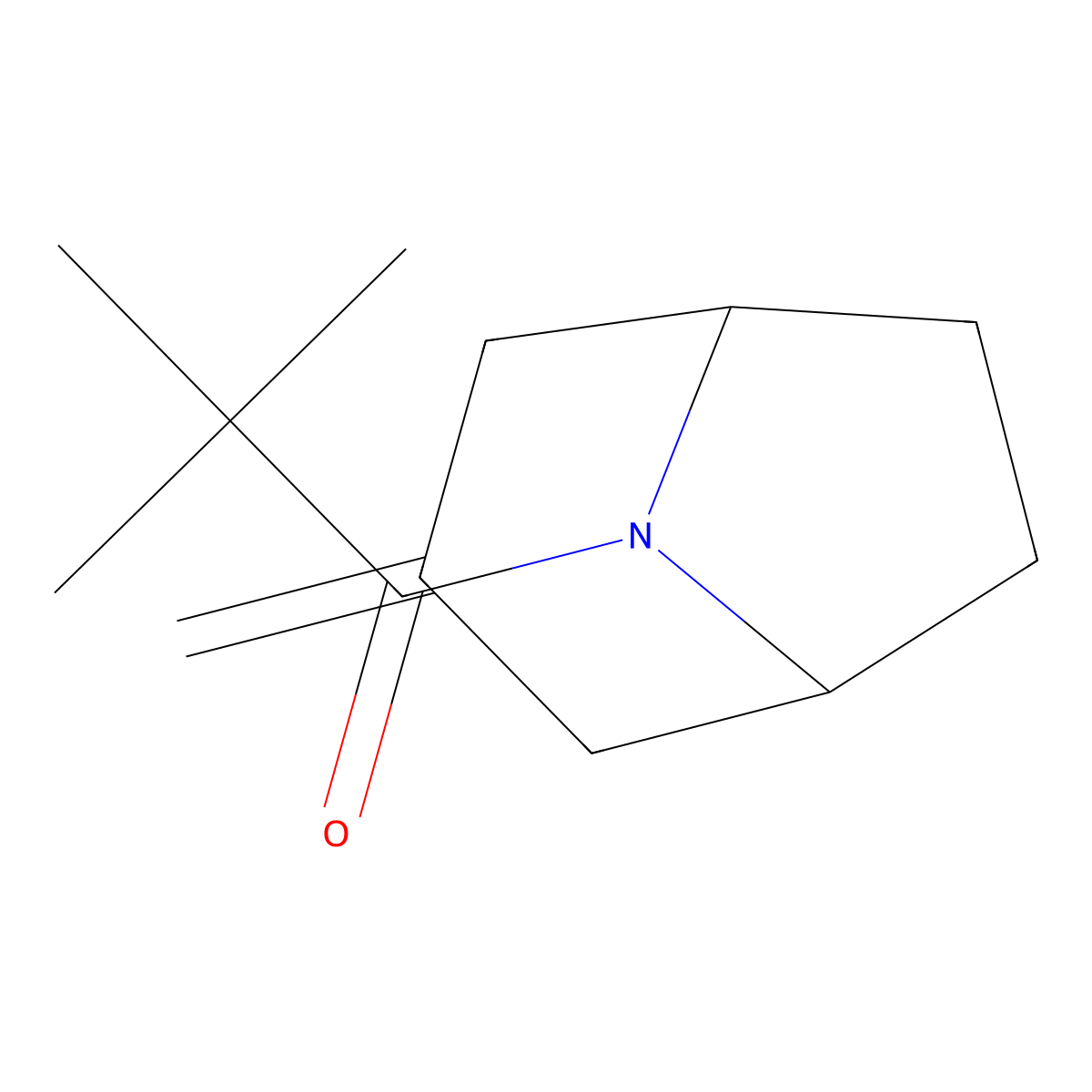 2,2-dimethyl-1-((1R,5S)-3-methylene-8-azabicyclo[3.2.1]octan-8-yl)propan-1-one molecular structure, CAS 2320860-95-3