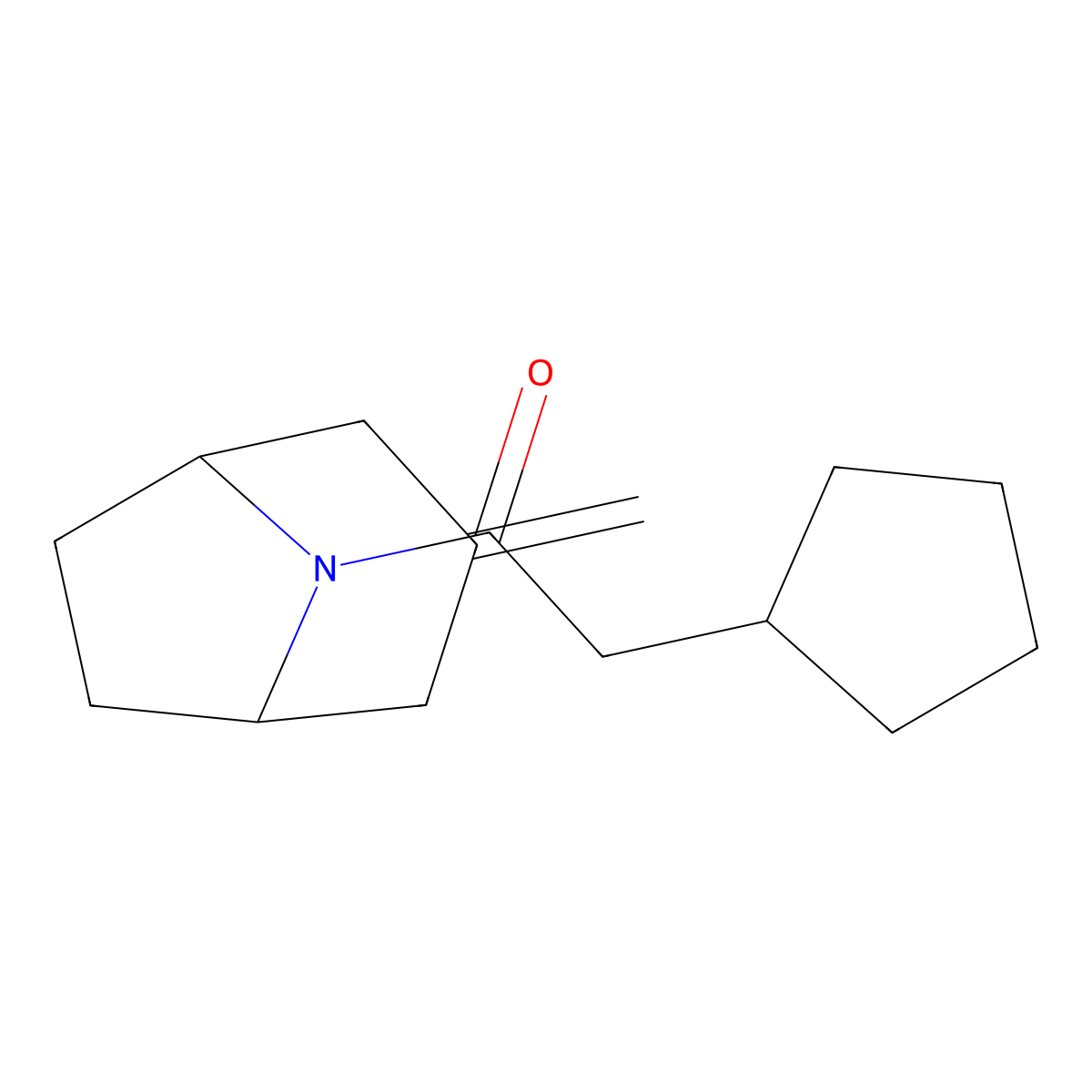 2-Cyclopentyl-1-{3-methylidene-8-azabicyclo[3.2.1]octan-8-yl}ethan-1-one molecular structure, CAS 2320923-64-4