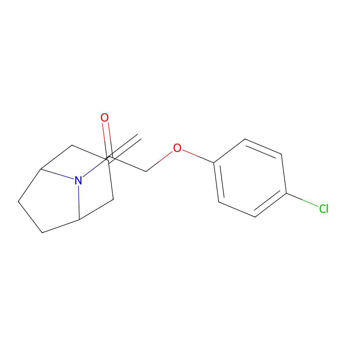 2-(4-Chlorophenoxy)-1-{3-methylidene-8-azabicyclo[3.2.1]octan-8-yl}ethan-1-one molecular structure, CAS 2320954-01-4