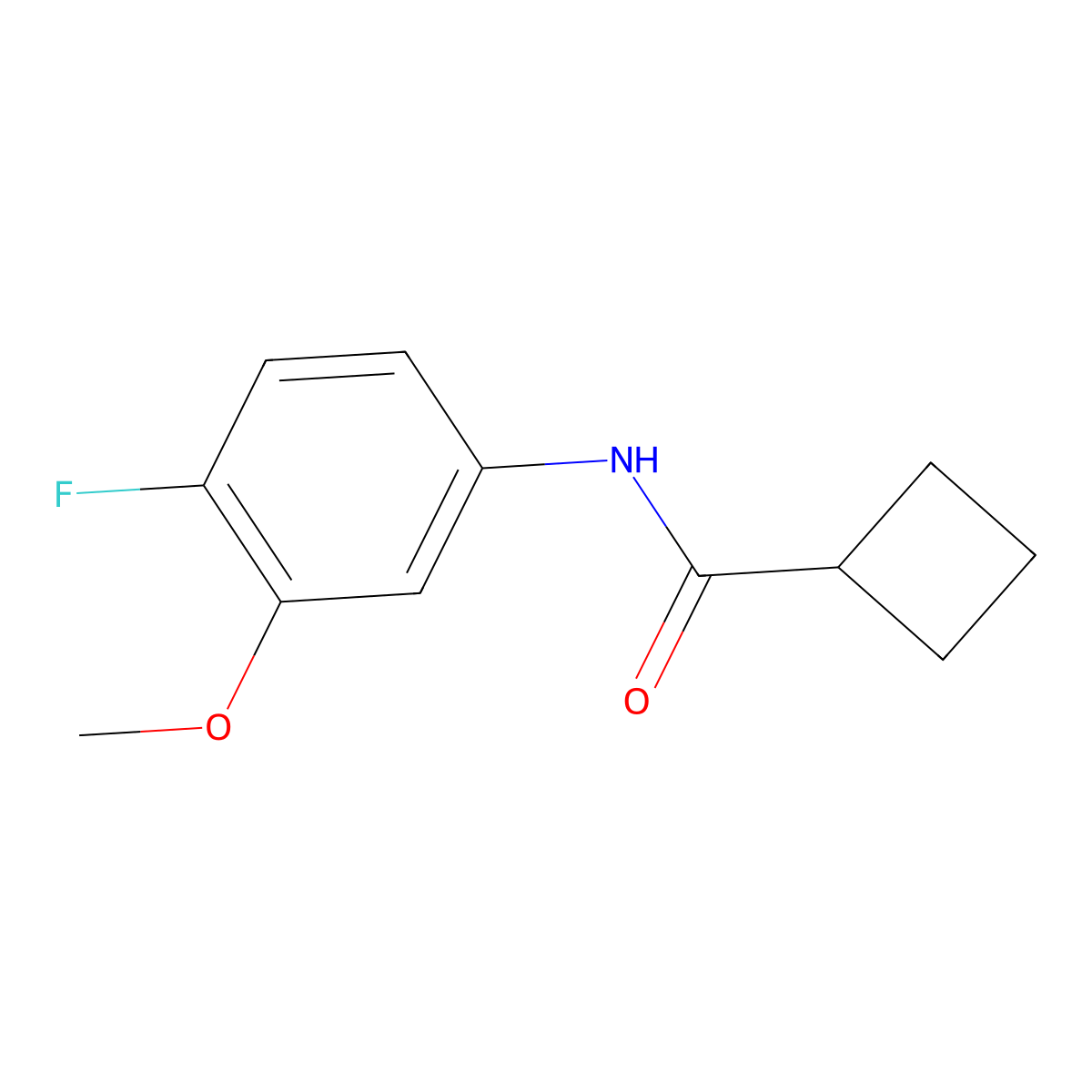 N-(4-fluoro-3-methoxyphenyl)cyclobutanecarboxamide molecular structure, CAS 2325155-77-7