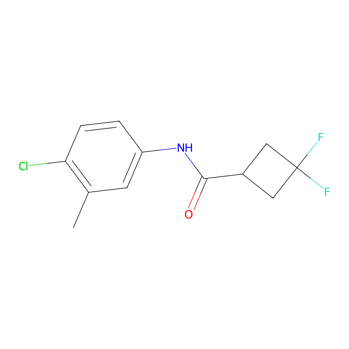 N-(4-chloro-3-methylphenyl)-3,3-difluorocyclobutane-1-carboxamide molecular structure, CAS 2325276-23-9