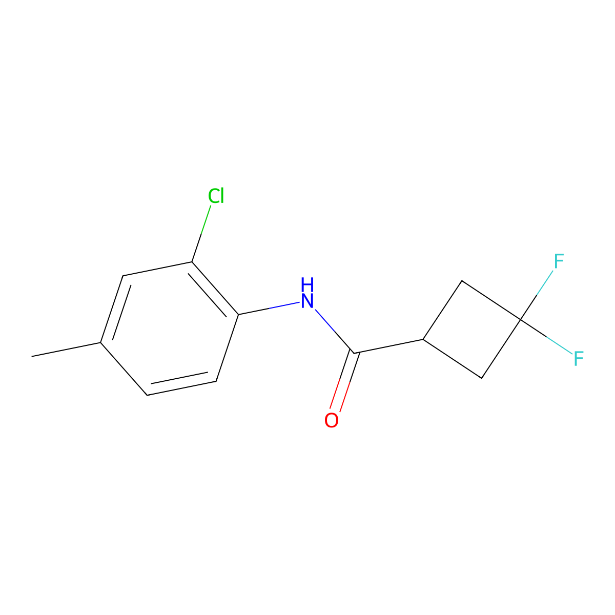 N-(2-chloro-4-methylphenyl)-3,3-difluorocyclobutane-1-carboxamide molecular structure, CAS 2326043-18-7