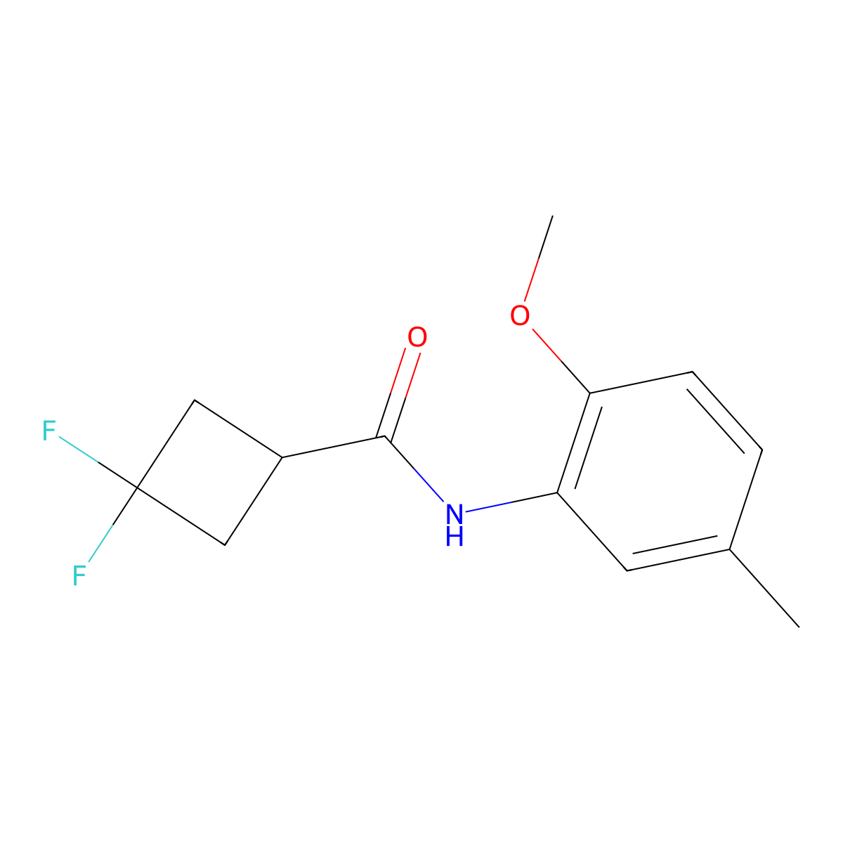 3,3-difluoro-N-(2-methoxy-5-methylphenyl)cyclobutane-1-carboxamide molecular structure, CAS 2326074-05-7