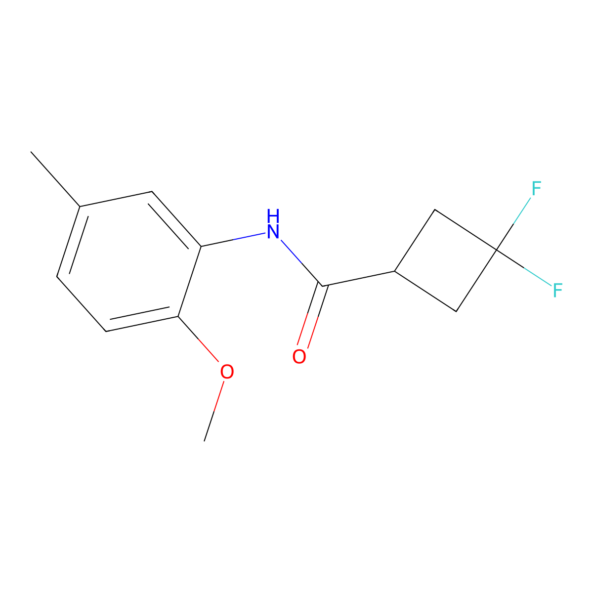 3,3-difluoro-N-(2-methoxy-5-methylphenyl)cyclobutane-1-carboxamide molecular structure, CAS 2326074-05-7