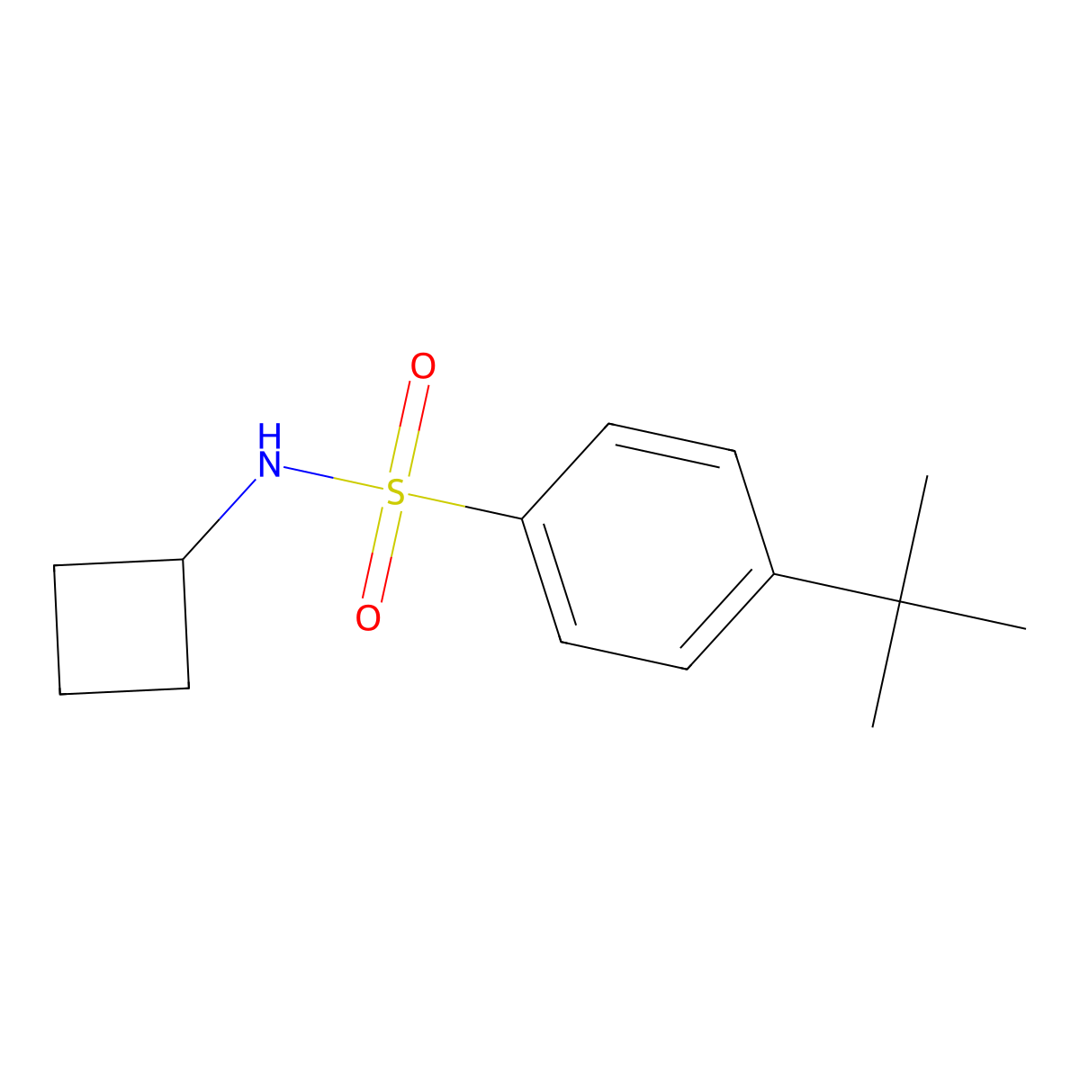 4-(tert-Butyl)-N-cyclobutylbenzenesulfonamide molecular structure, CAS 2326142-47-4