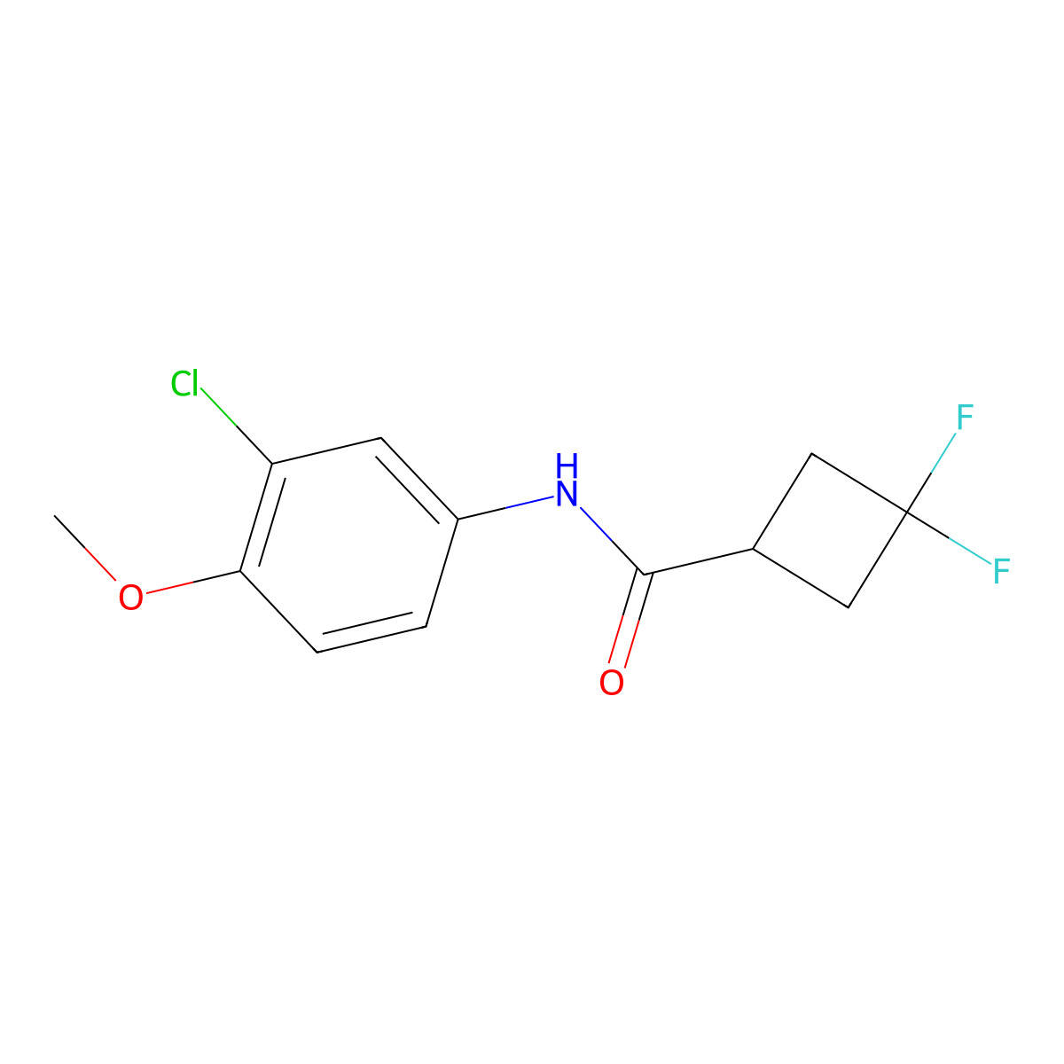 N-(3-chloro-4-methoxyphenyl)-3,3-difluorocyclobutane-1-carboxamide molecular structure, CAS 2326184-71-6