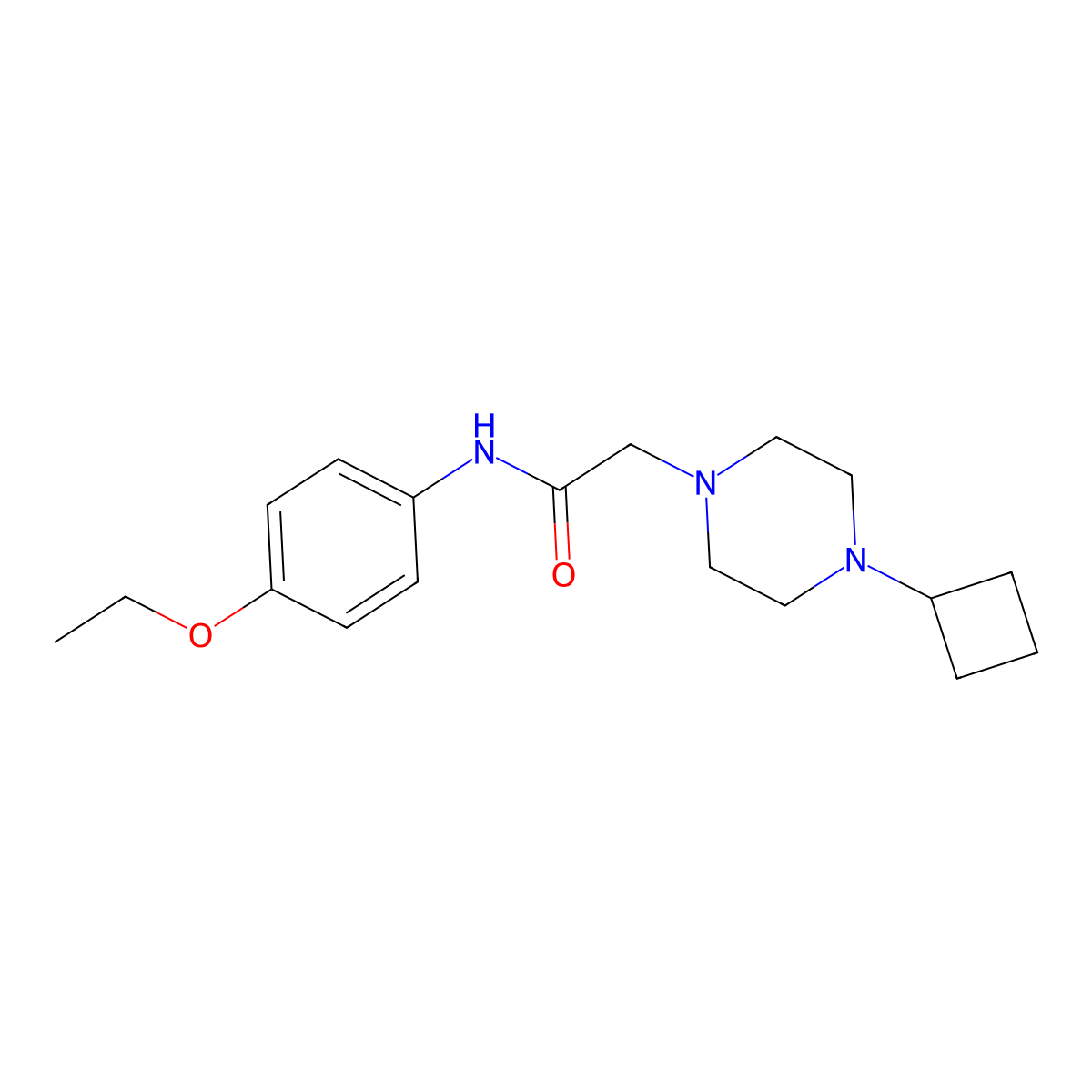 2-(4-cyclobutylpiperazin-1-yl)-N-(4-ethoxyphenyl)acetamide molecular structure, CAS 2326424-89-7