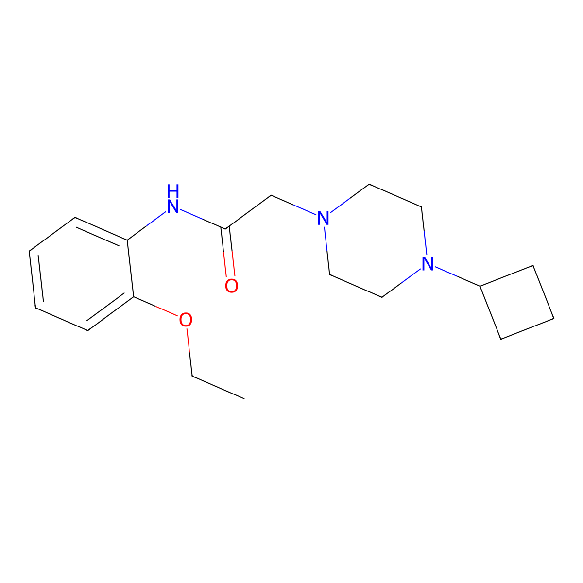2-(4-cyclobutylpiperazin-1-yl)-N-(2-ethoxyphenyl)acetamide molecular structure, CAS 2326569-74-6