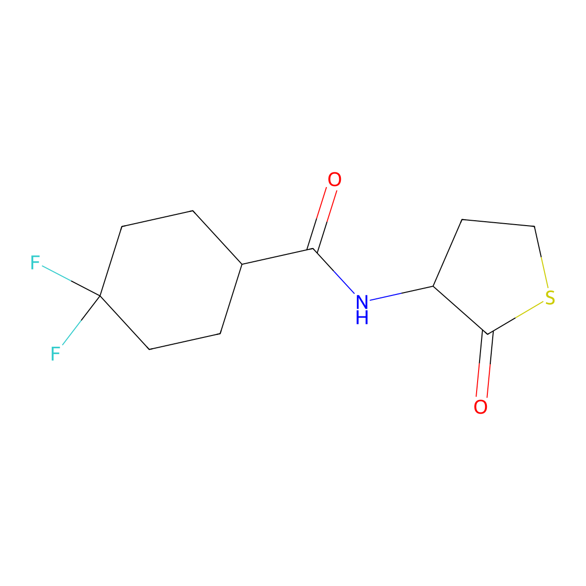 4,4-difluoro-N-(2-oxothiolan-3-yl)cyclohexane-1-carboxamide molecular structure, CAS 2329236-17-9