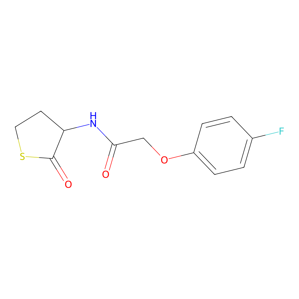 2-(4-Fluorophenoxy)-N-(2-oxothiolan-3-yl)acetamide molecular structure, CAS 2329294-18-8