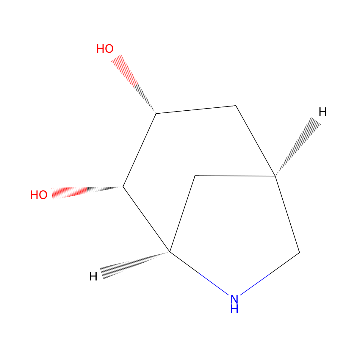 rac-(1R,3S,4R,5S)-6-azabicyclo[3.2.1]octane-3,4-diol molecular structure, CAS 2361608-78-6
