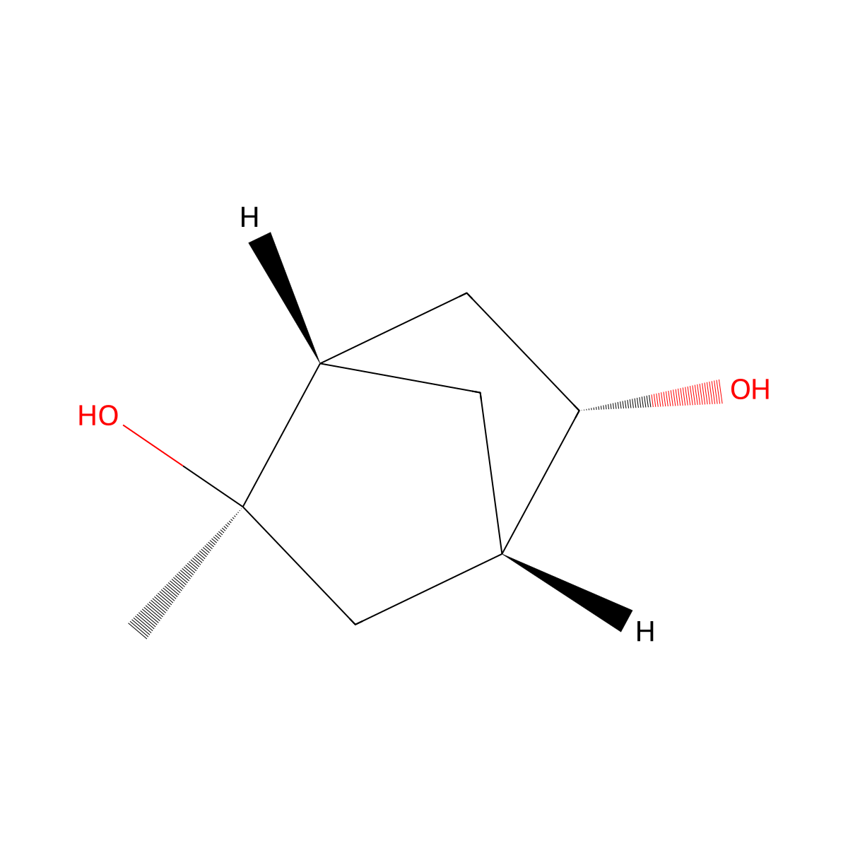 rac-(1R,2S,4R,5R)-2-methylbicyclo[2.2.1]heptane-2,5-diol molecular structure, CAS 2361609-21-2