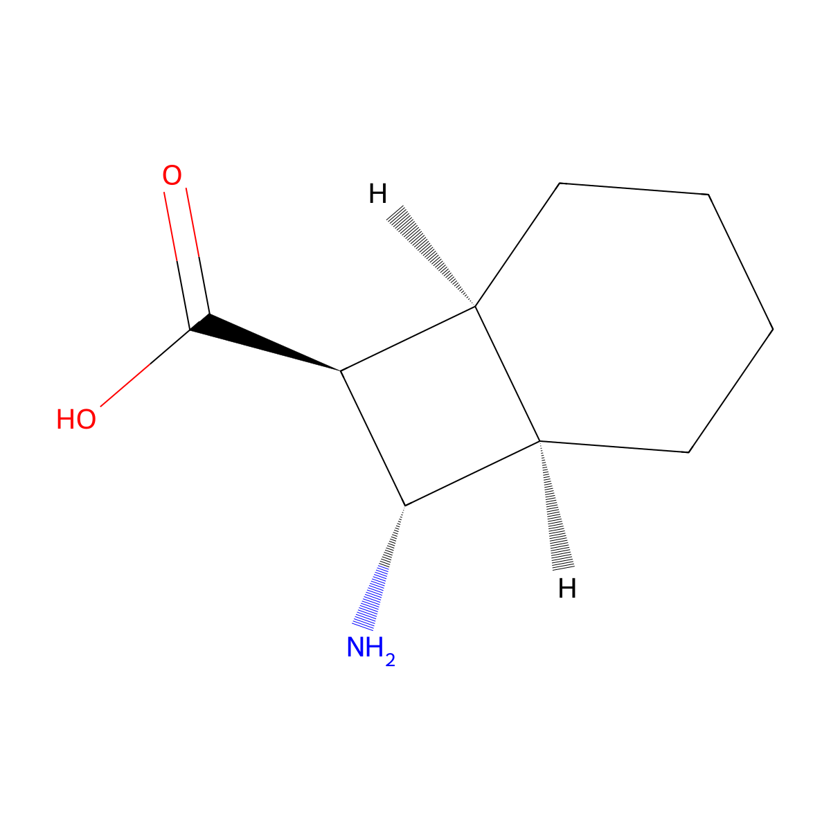 rac-(1R,6S,7S,8S)-8-aminobicyclo[4.2.0]octane-7-carboxylic acid molecular structure, CAS 2361798-87-8