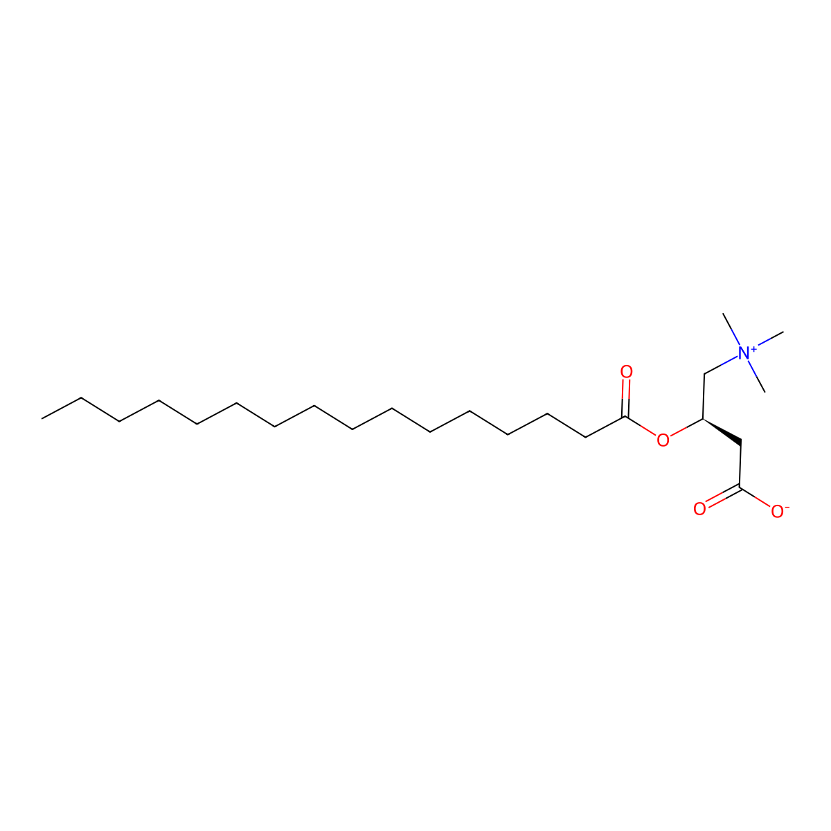 Palmitoyl Carnitine molecular structure, CAS 2364-67-2