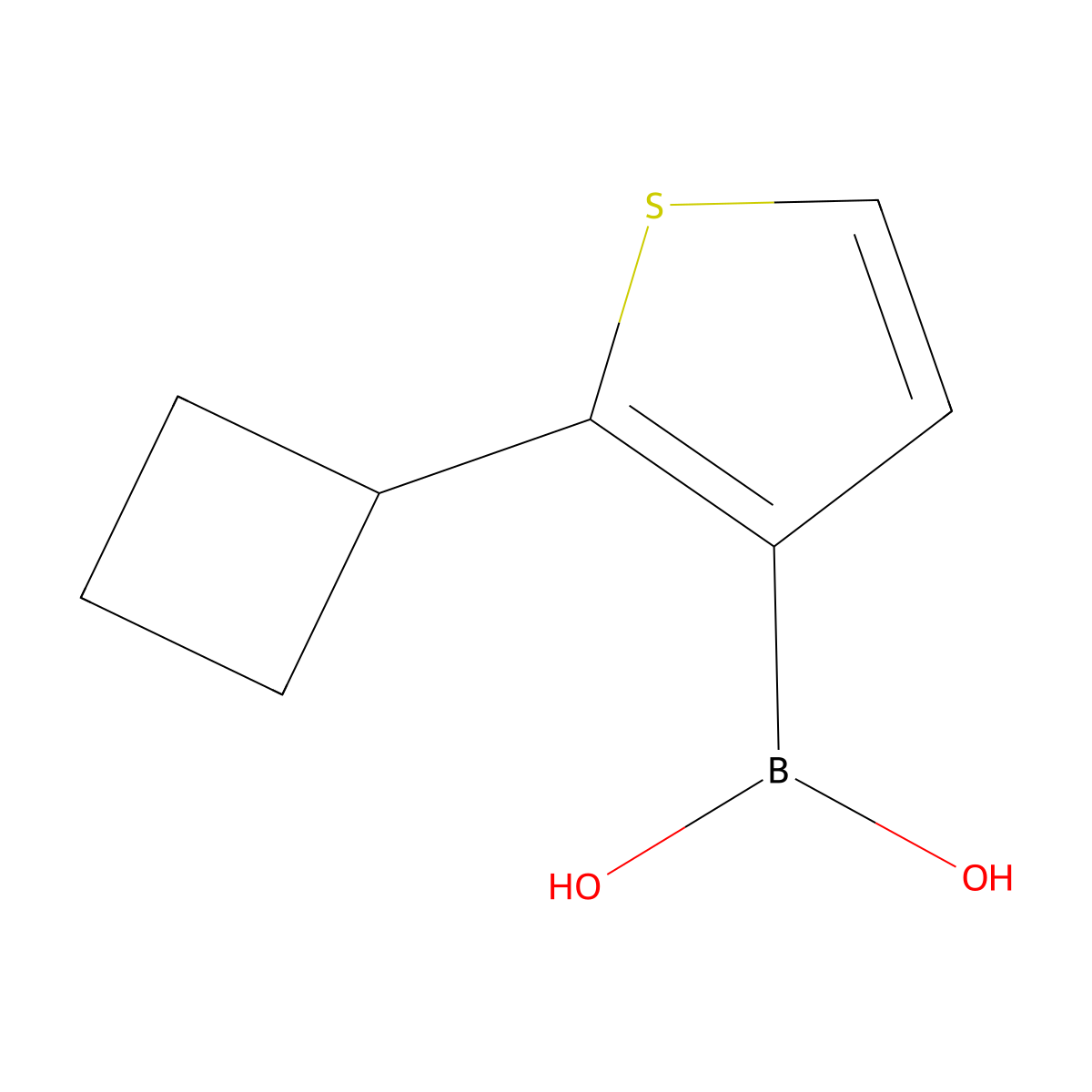 (2-Cyclobutylthiophen-3-yl)boronic acid molecular structure, CAS 2364585-48-6