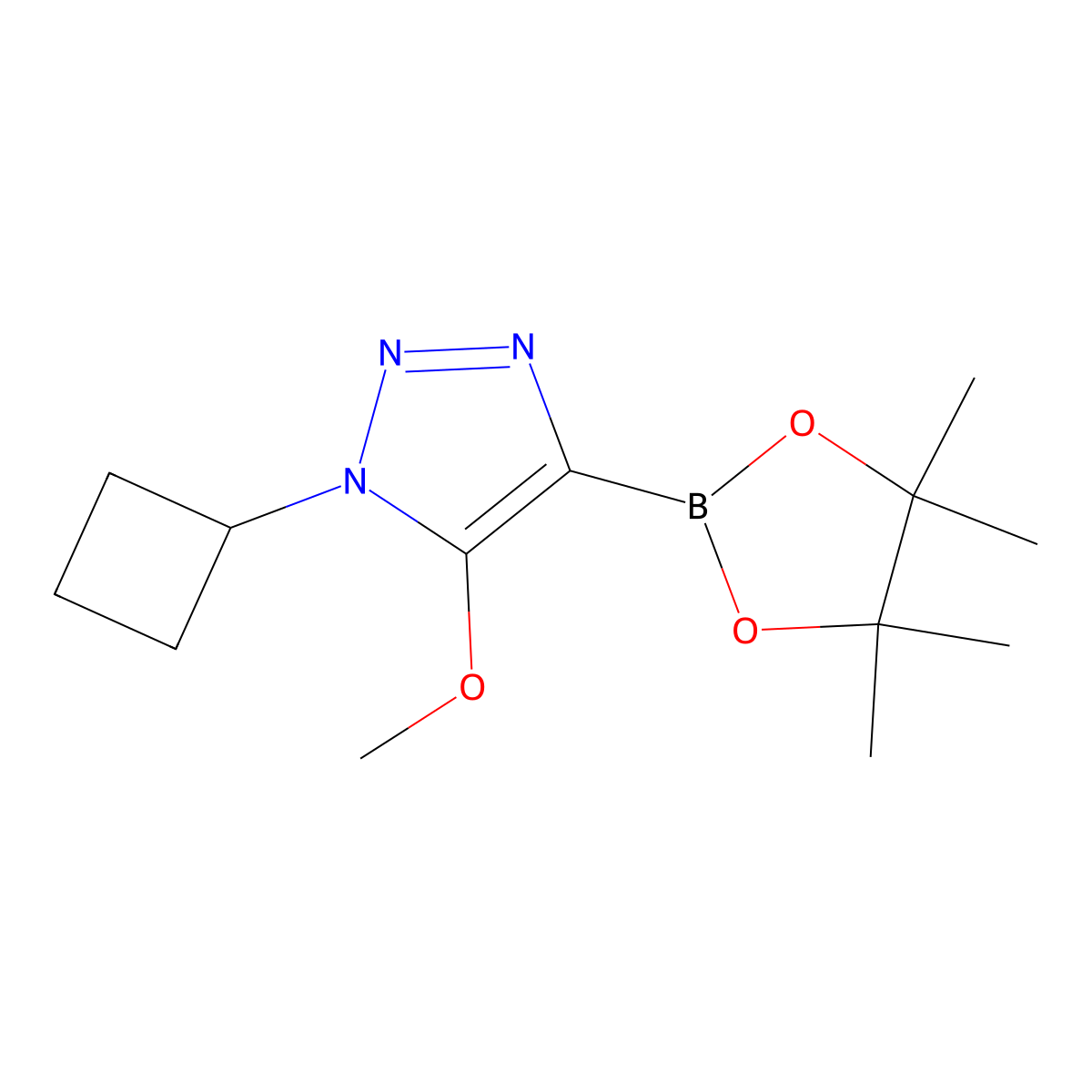 1-cyclobutyl-5-methoxy-4-(4,4,5,5-tetramethyl-1,3,2-dioxaborolan-2-yl)-1H-1,2,3-triazole molecular structure, CAS 2364586-04-7
