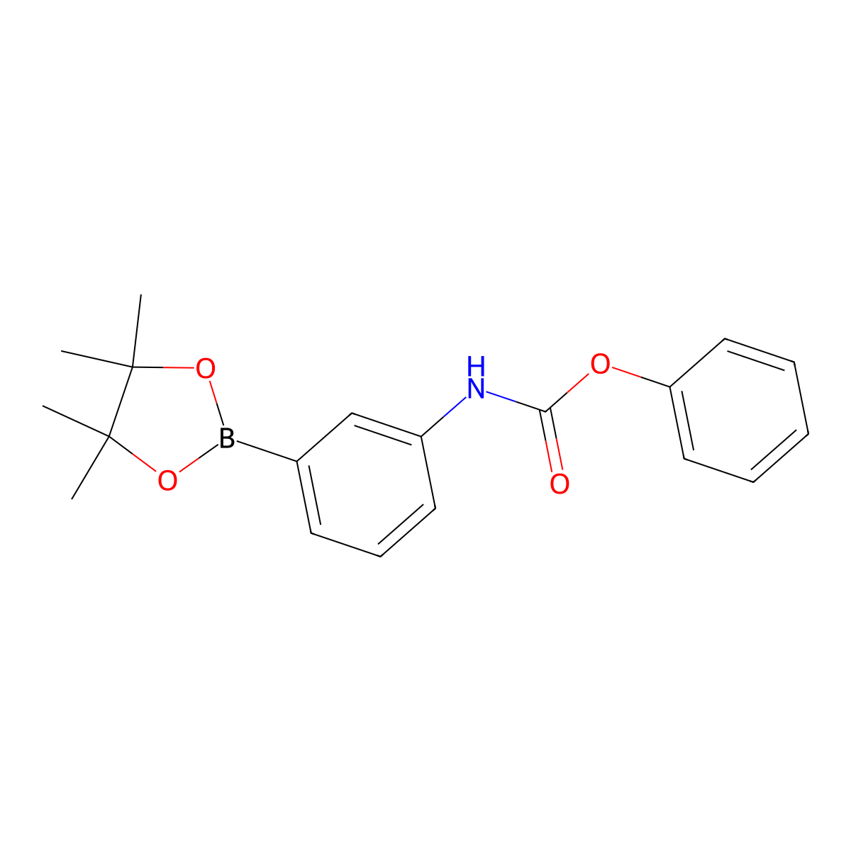 Phenyl (3-(4,4,5,5-tetramethyl-1,3,2-dioxaborolan-2-yl)phenyl)carbamate molecular structure, CAS 2374923-62-1