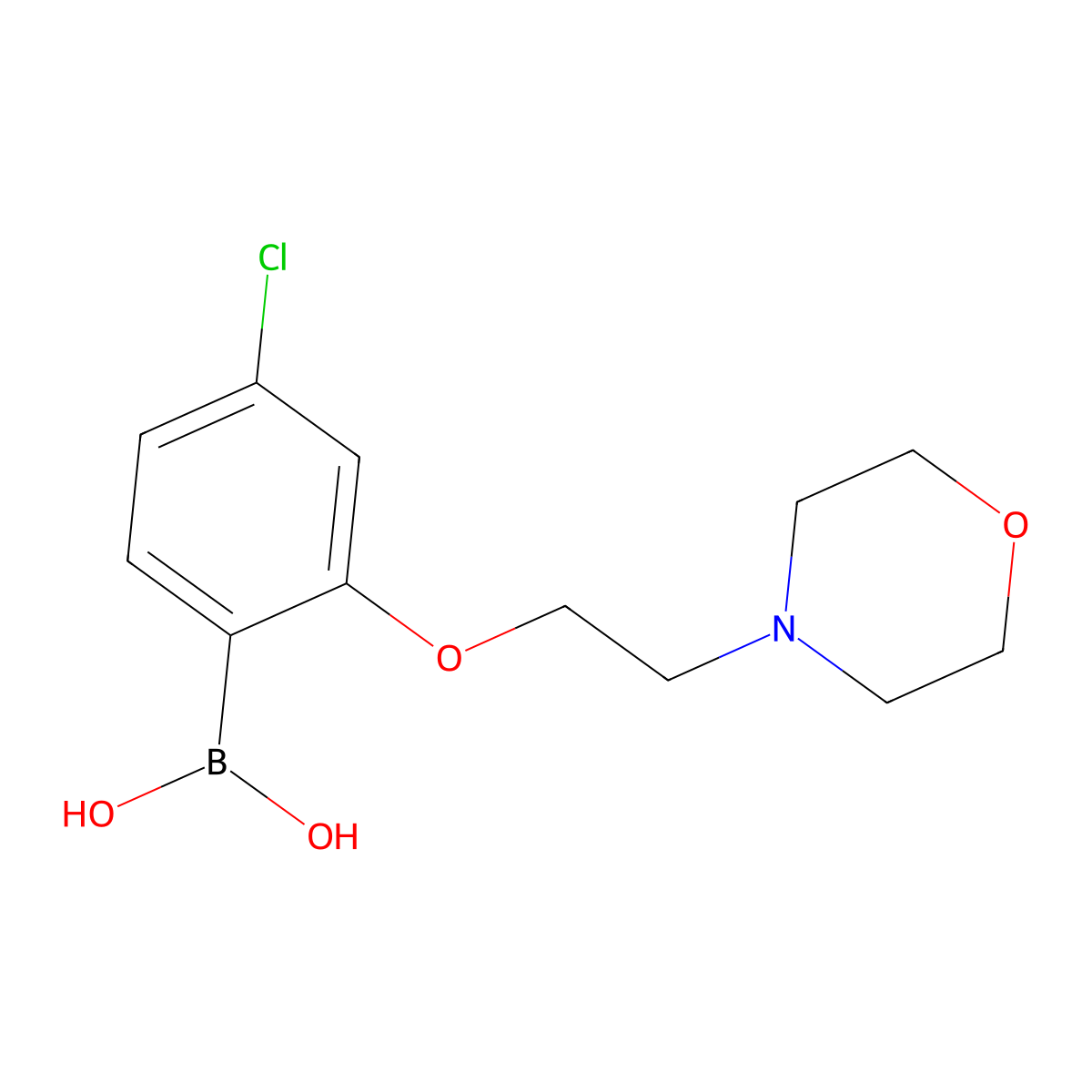 {4-Chloro-2-[2-(morpholin-4-yl)ethoxy]phenyl}boronic acid molecular structure, CAS 2377605-74-6