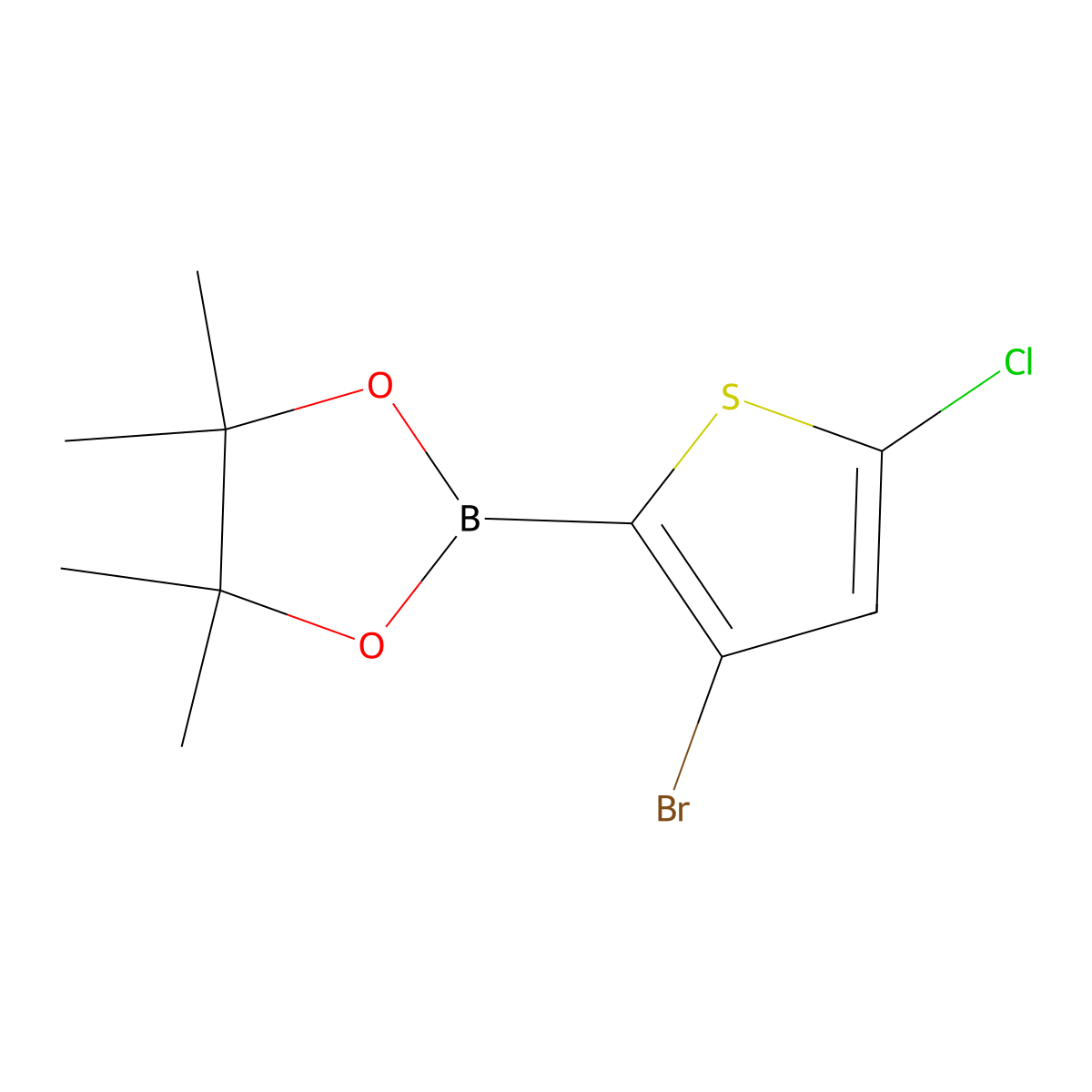 3-Bromo-5-chlorothiothiophene-2-boronic acid pinacol ester molecular structure, CAS 2377606-72-7