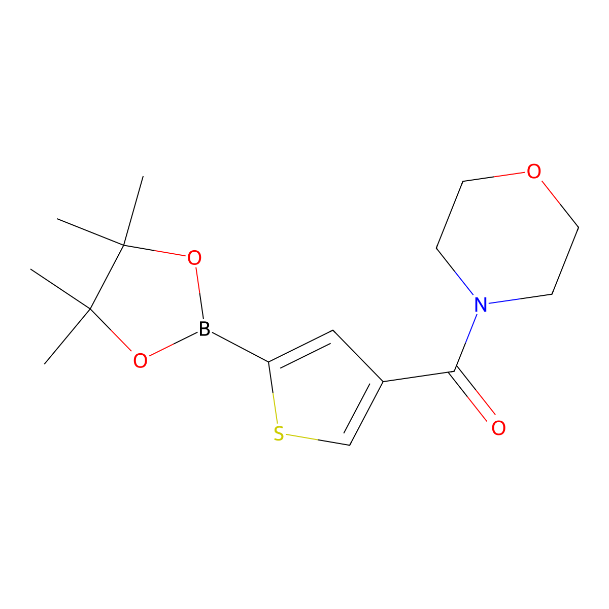 Morpholino(5-(4,4,5,5-tetramethyl-1,3,2-dioxaborolan-2-yl)thiophen-3-yl)methanone molecular structure, CAS 2377606-73-8