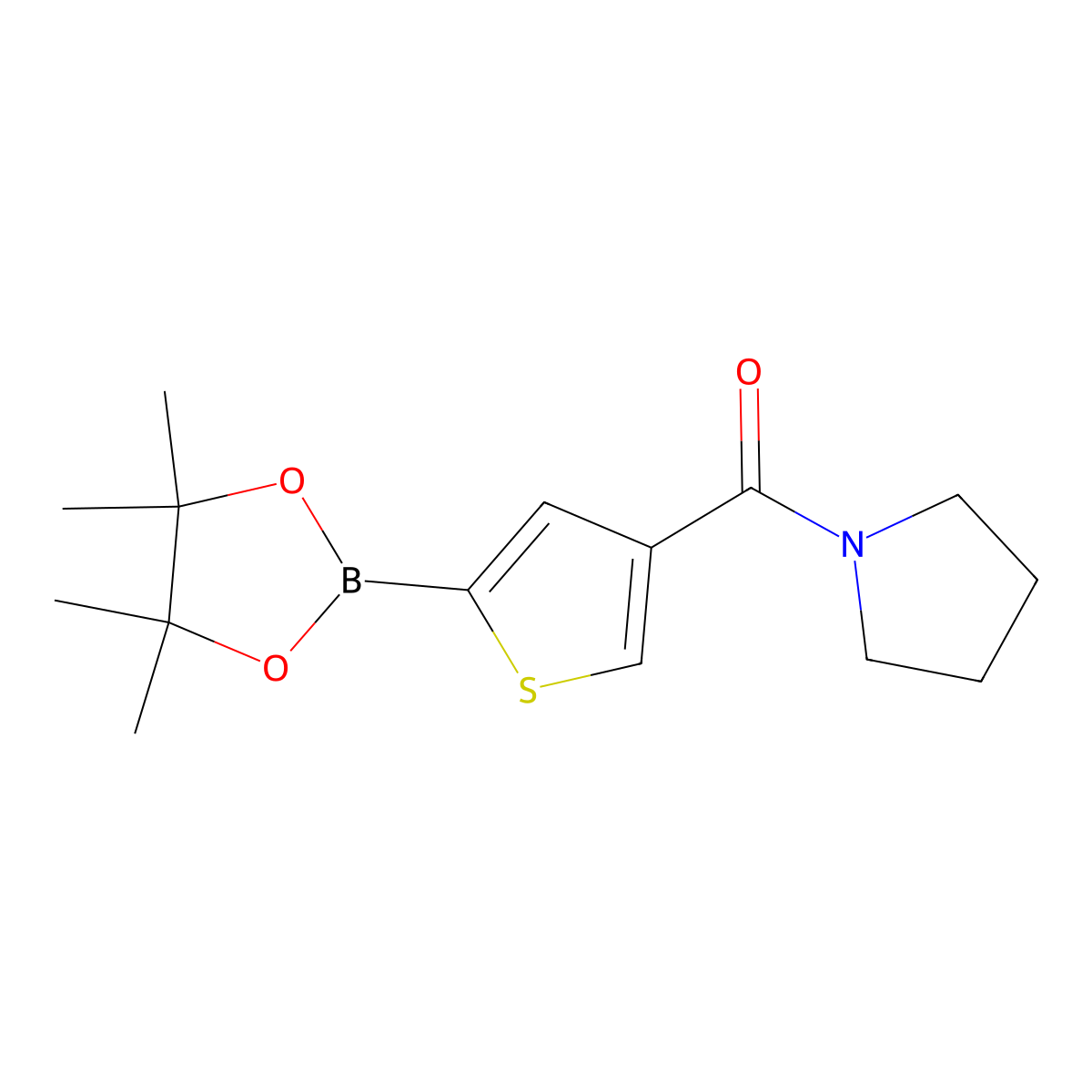 4-(Pyrrolidinocarbonyl)thiophene-2-boronic acid pinacol ester molecular structure, CAS 2377611-94-2