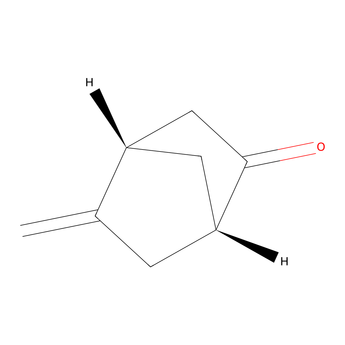rac-(1R,4R)-5-methylidenebicyclo[2.2.1]heptan-2-one molecular structure, CAS 2378490-14-1