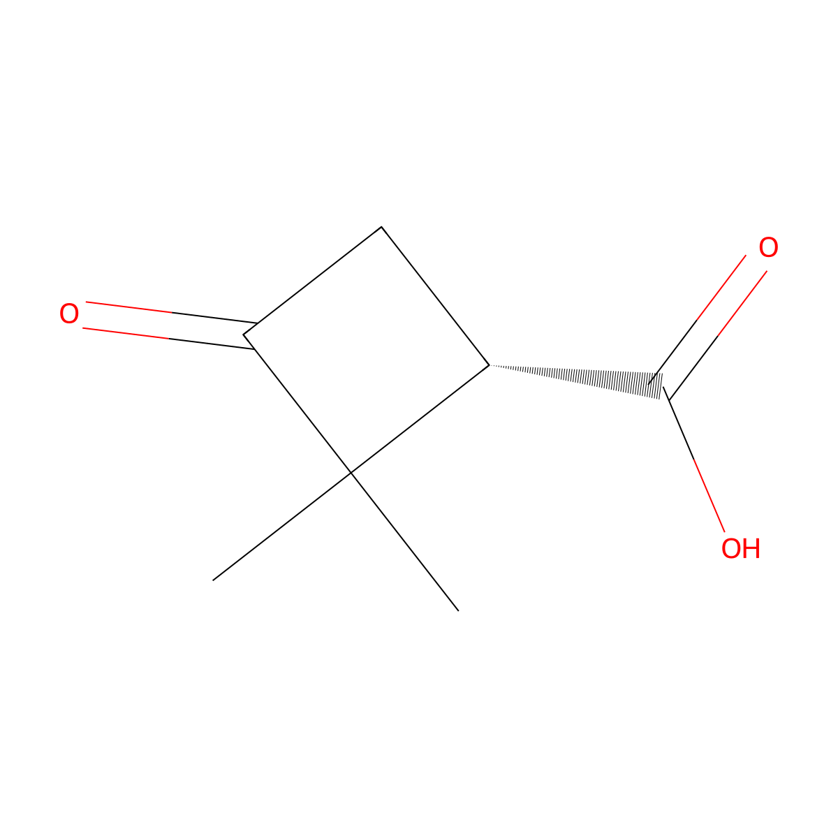 (1S)-2,2-dimethyl-3-oxo-cyclobutanecarboxylic acid molecular structure, CAS 2380876-38-8