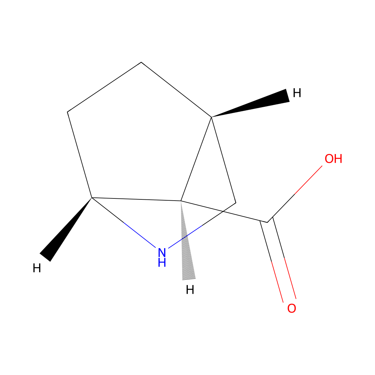 rac-(1R,4S,7R)-2-azabicyclo[2.2.1]heptane-7-carboxylic acid molecular structure, CAS 2381207-73-2