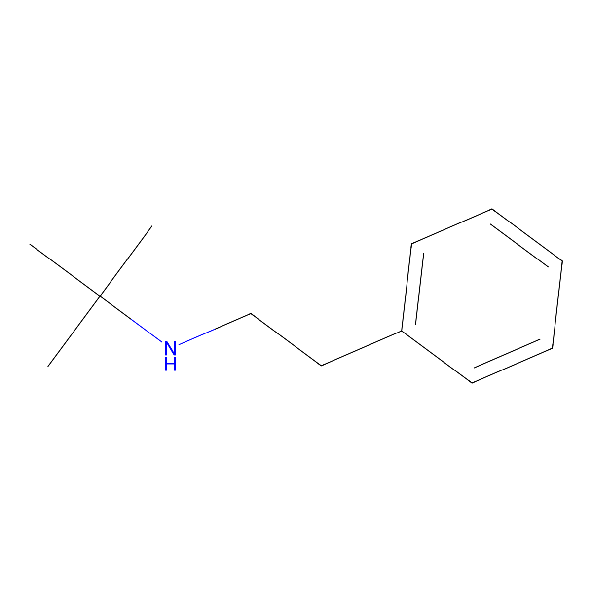 2-Methyl-N-(2-phenylethyl)propan-2-amine molecular structure, CAS 24070-10-8