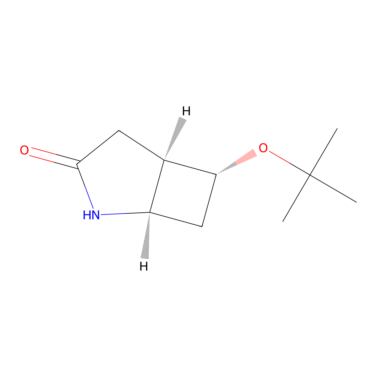 Rac-(1R,5R,6R)-6-(tert-butoxy)-2-azabicyclo[3.2.0]heptan-3-one molecular structure, CAS 2408938-80-5
