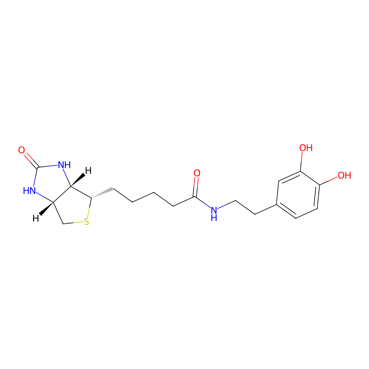 N-Biotinyl Dopamine molecular structure, CAS 241142-94-9