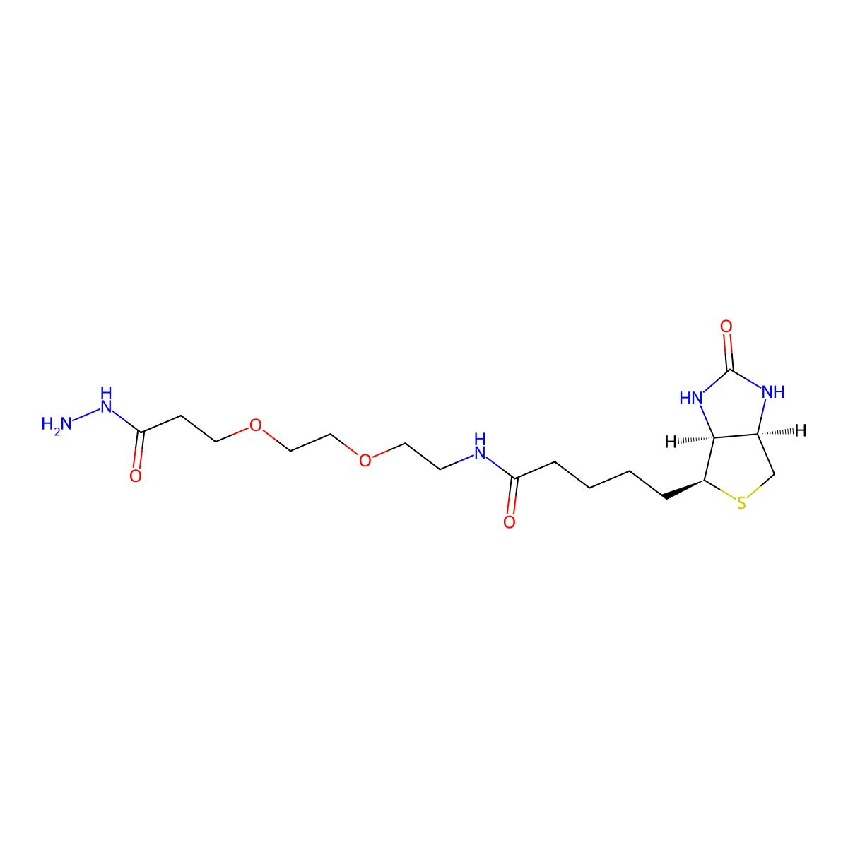 Biotin-PEG2-Hydrazide molecular structure, CAS 2413847-26-2