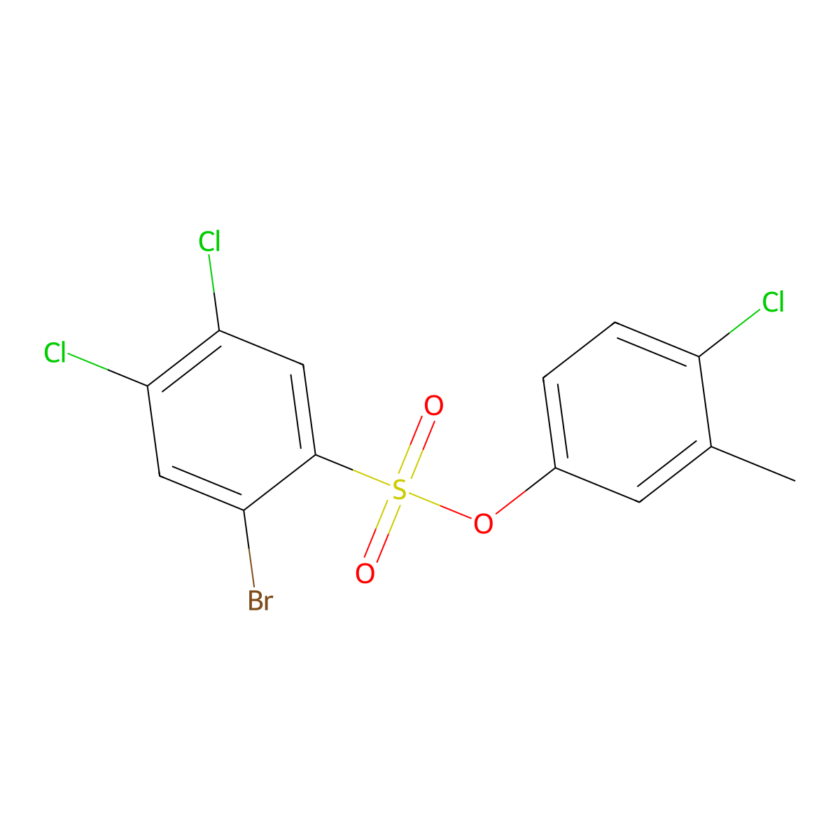 (4-Chloro-3-methylphenyl) 2-bromo-4,5-dichlorobenzenesulfonate molecular structure, CAS 2415454-55-4