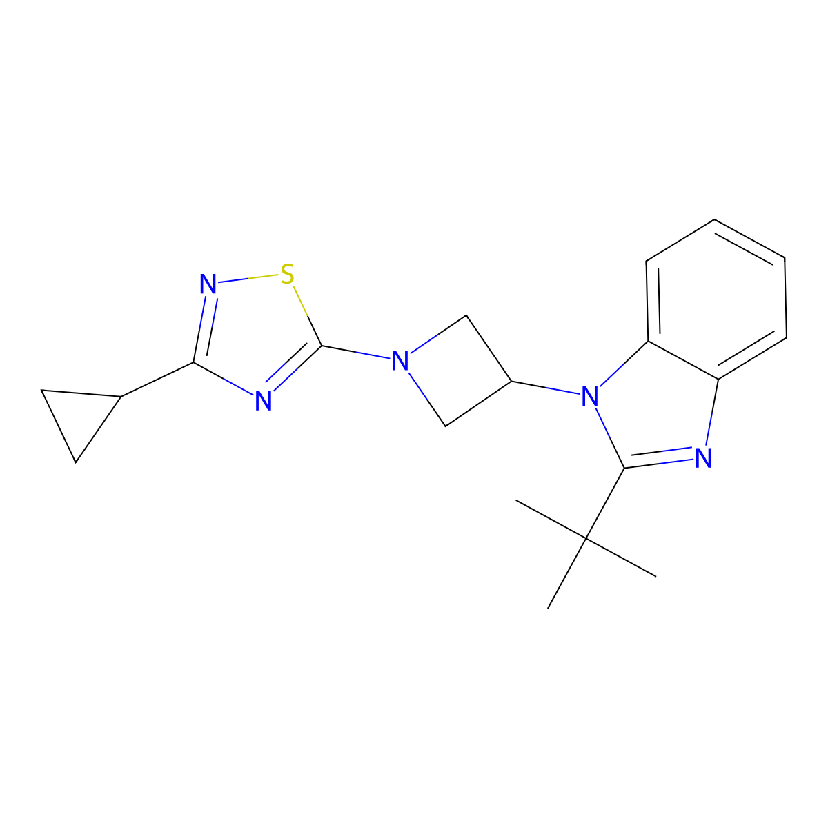 2-tert-butyl-1-[1-(3-cyclopropyl-1,2,4-thiadiazol-5-yl)azetidin-3-yl]-1H-1,3-benzodiazole molecular structure, CAS 2415491-34-6