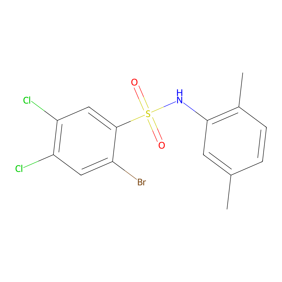 2-bromo-4,5-dichloro-N-(2,5-dimethylphenyl)benzene-1-sulfonamide molecular structure, CAS 2415491-35-7