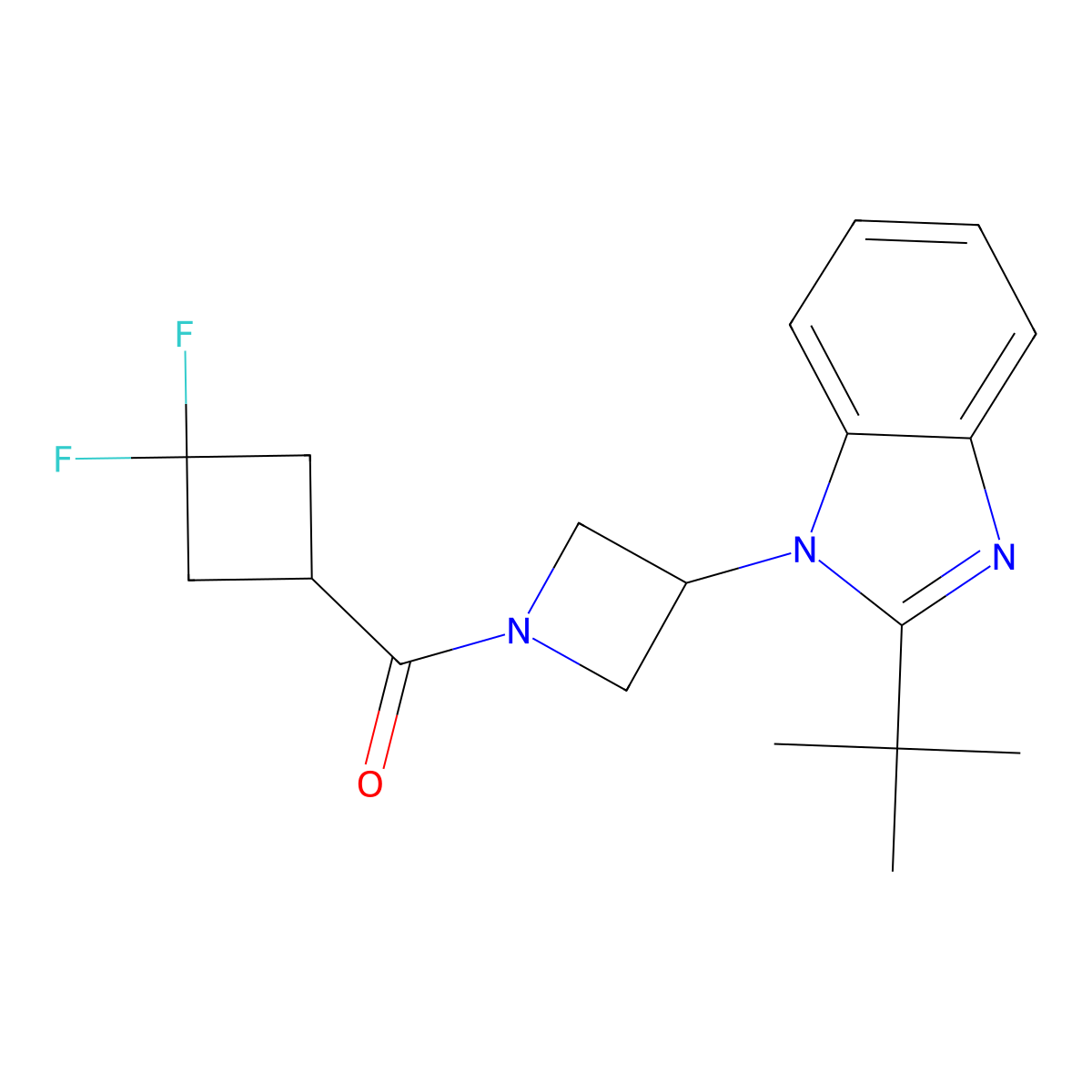 2-tert-butyl-1-[1-(3,3-difluorocyclobutanecarbonyl)azetidin-3-yl]-1H-1,3-benzodiazole molecular structure, CAS 2415527-35-2