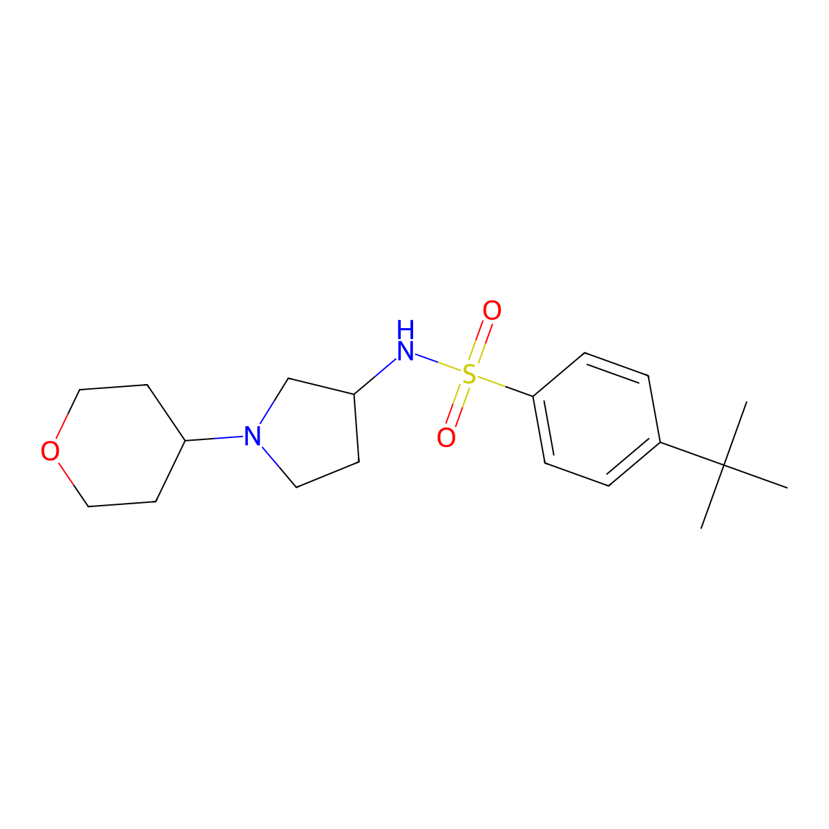 4-tert-butyl-N-[1-(oxan-4-yl)pyrrolidin-3-yl]benzene-1-sulfonamide molecular structure, CAS 2415571-06-9