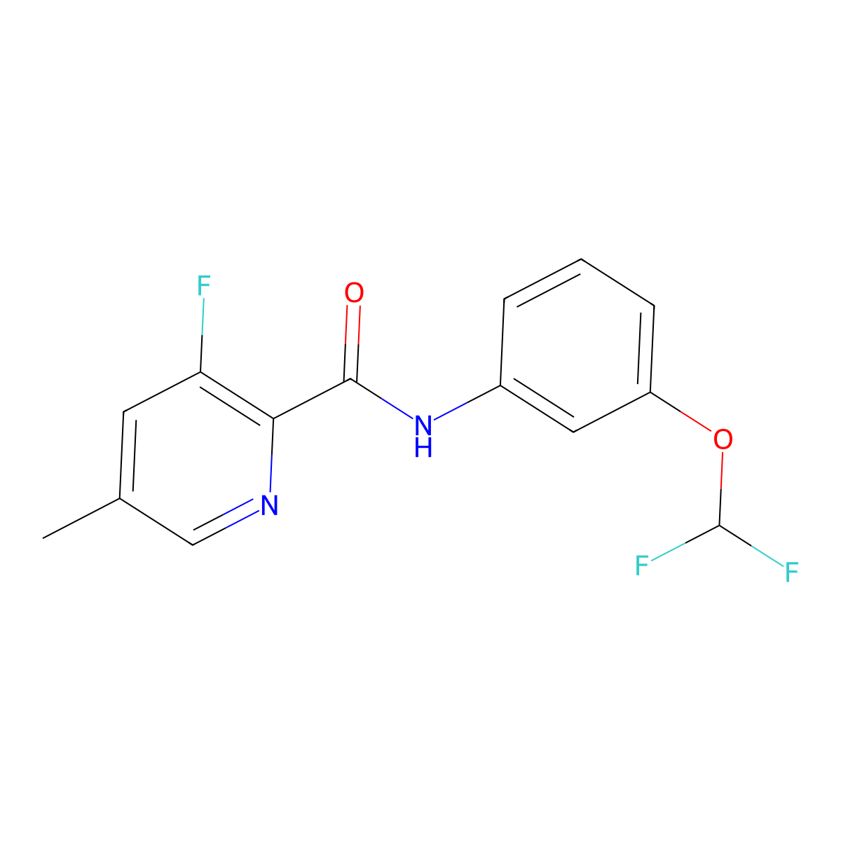 N-[3-(difluoromethoxy)phenyl]-3-fluoro-5-methylpyridine-2-carboxamide molecular structure, CAS 2415584-33-5