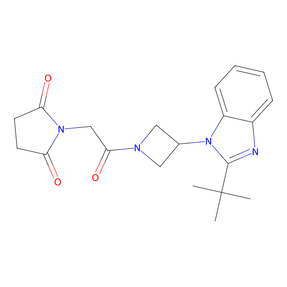 1-{2-[3-(2-tert-butyl-1H-1,3-benzodiazol-1-yl)azetidin-1-yl]-2-oxoethyl}pyrrolidine-2,5-dione molecular structure, CAS 2415602-51-4
