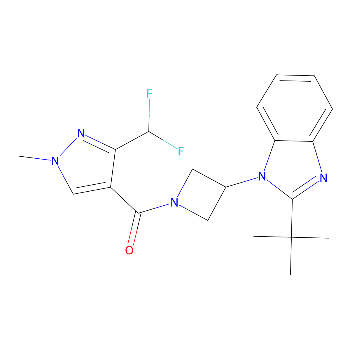 2-tert-butyl-1-{1-[3-(difluoromethyl)-1-methyl-1H-pyrazole-4-carbonyl]azetidin-3-yl}-1H-1,3-benzodiazole molecular structure, CAS 2415631-09-1