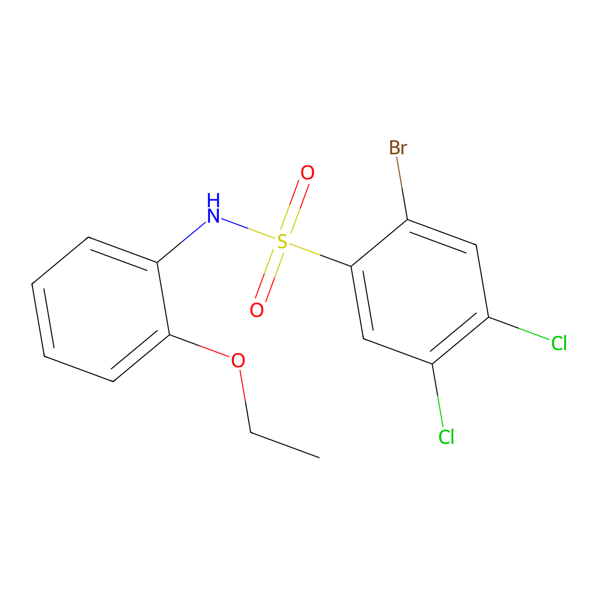 2-bromo-4,5-dichloro-N-(2-ethoxyphenyl)benzene-1-sulfonamide molecular structure, CAS 2415632-64-1