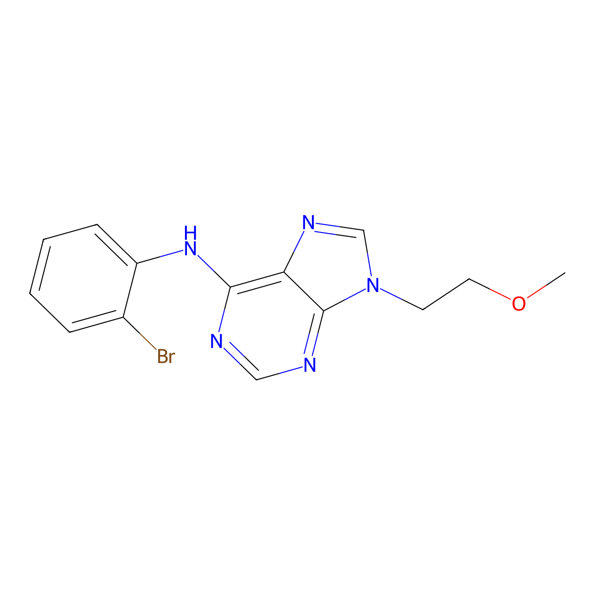 N-(2-bromophenyl)-9-(2-methoxyethyl)-9H-purin-6-amine molecular structure, CAS 2415644-63-0